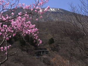 090422_kengamine