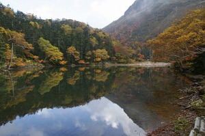 090924_midagaike